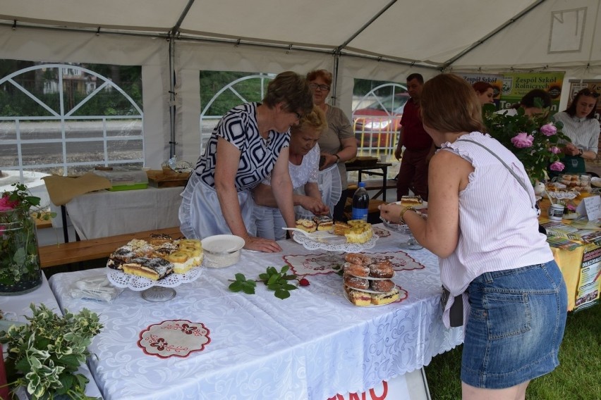 MotoFolk 2019 w Sędziejowicach. Niedziela na ludowo [zdjęcia]