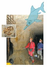 Skamieniałości morskich gadów z Annopola odkryciem roku?