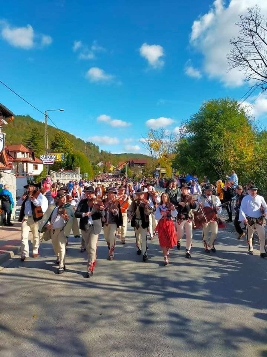 Jesienny REDYK w Pieninach. Niemal 2000 owiec przeszło ulicami Szczawnicy