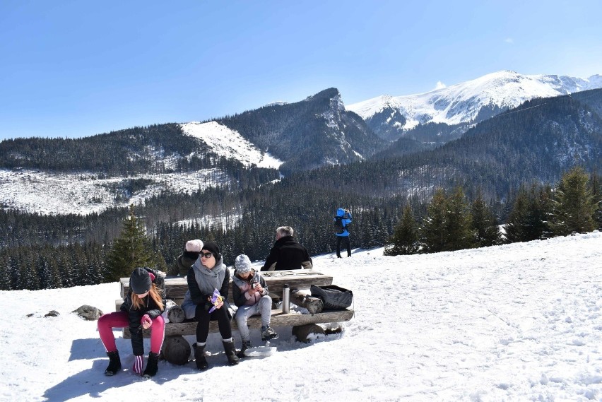 Tatry. Kalatówki w lany poniedziałek. Piękne słońce, przebijające się spod śniegu krokusy, a także spragnieni Wielkanocnego Jaja [ZDJĘCIA]