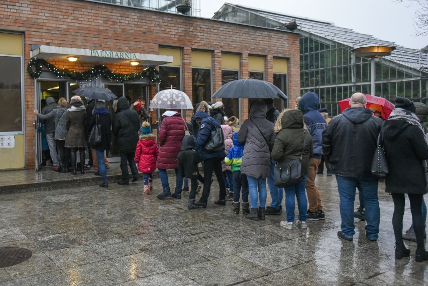 Osoby, które nie przyszły w sobotę, szansę na zobaczenie...