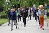 Skierniewicki Fitness Club Inverno zaprosił na nordic walking ZDJĘCIA