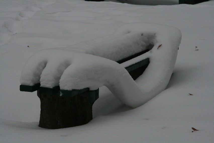 Śnieżna fantazja na ławce