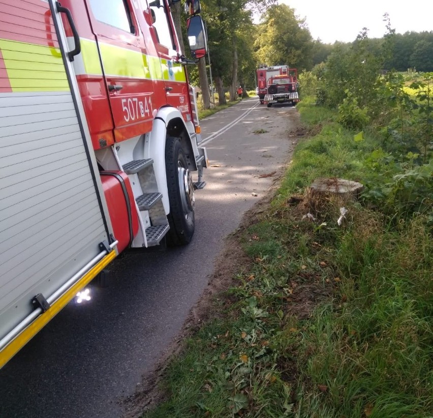 Wypadek autobusu PKS Gdynia w Darzlubiu (trasa Darzlubie -...