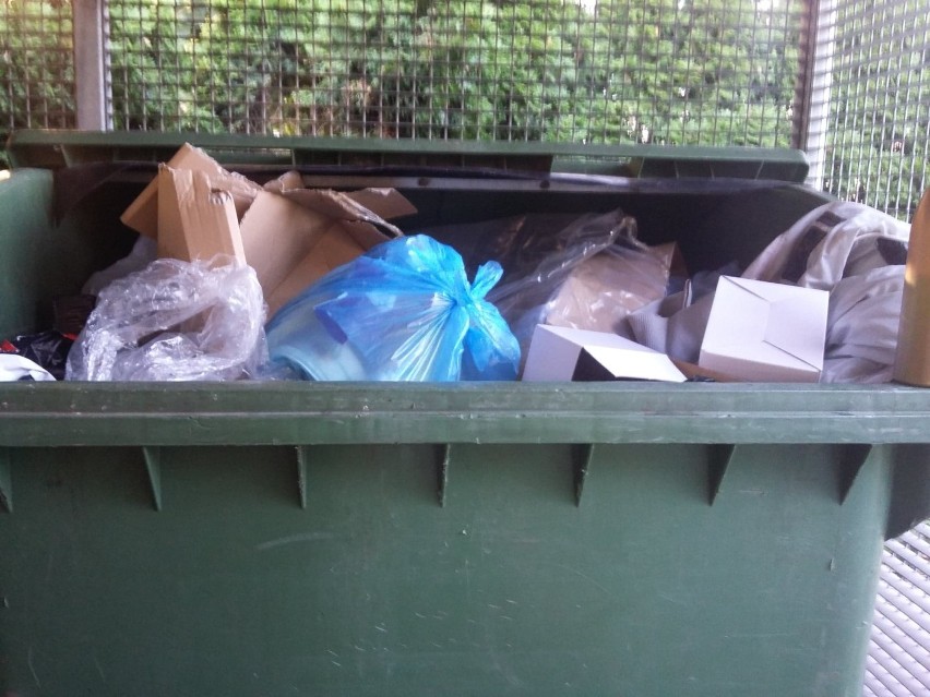 Segregacja śmieci, nie obowiązuje wszystkich?