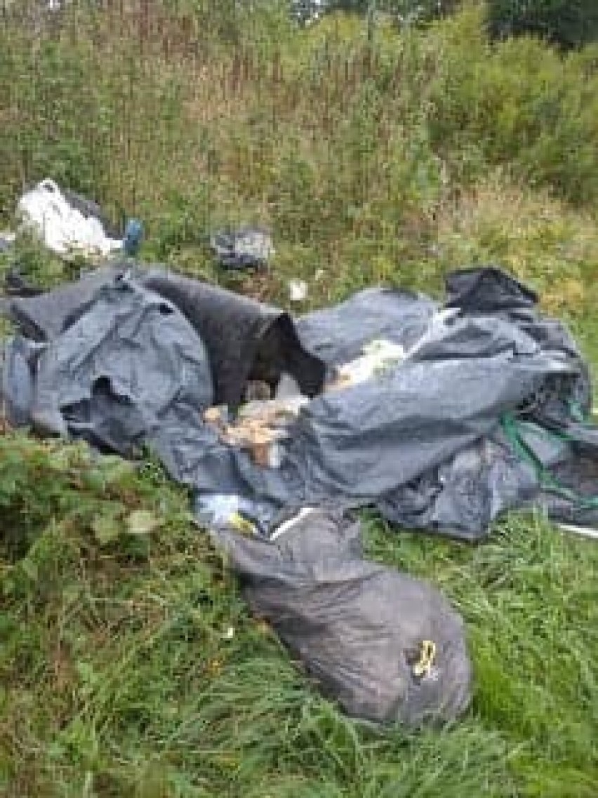 Malbork. Śmieci podrzucone bezczelnie przy drodze w Kałdowie [ZDJĘCIA]. Mieszkańcy proszą, by tak nie robić
