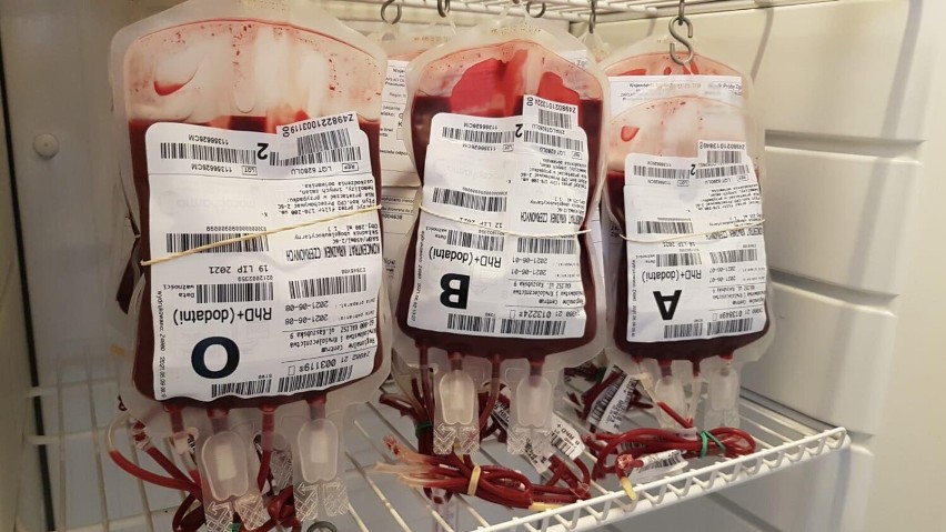 Światowy Dzień Krwiodawcy. Tak wygląda Bank Krwi w Kaliskim Szpitalu. ZDJĘCIA