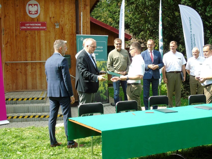 Sądeckie nadleśnictwa będą produkować zieloną energię. Powstaną farmy fotowoltaiczne 