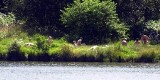 Rzecz o plażach dla naturystów, czyli... Goły Śląsk