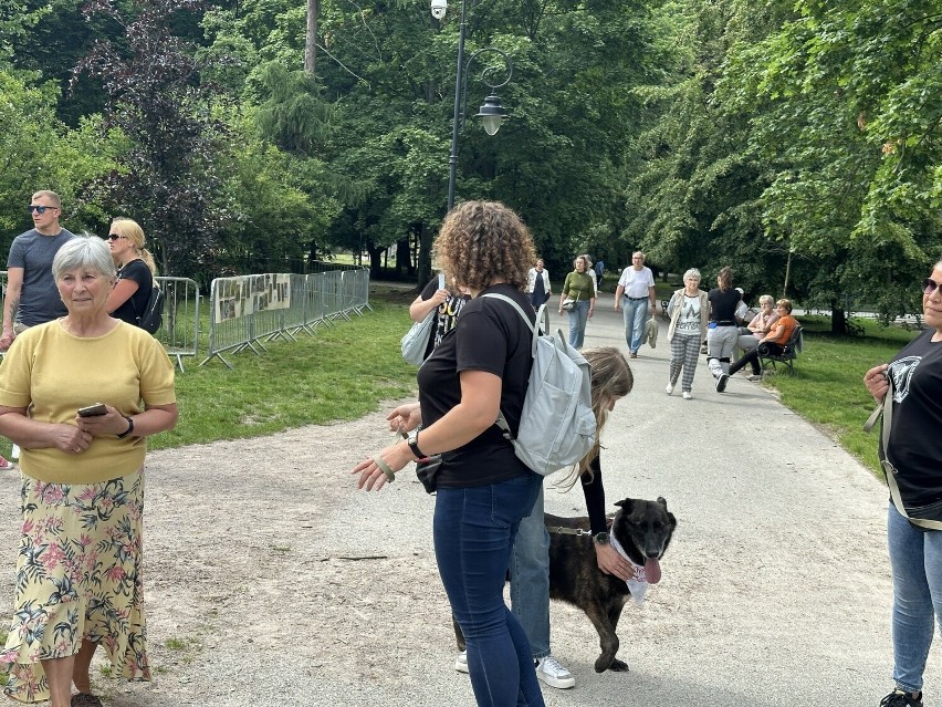 Psi Piknik w Leśniczówce w Radomiu. Alejki parku zapełniły się miłośnikami zwierząt i czworonogami. Zobacz zdjęcia