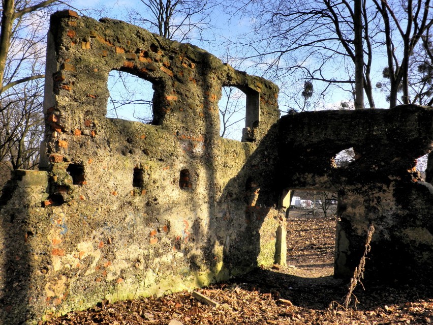 Ruiny Zabudowań Gospodarskich Dworu Dohrnow w Klęskowie