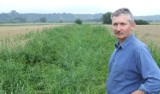 Rolnik z gminy Chełmno denerwuje się, bo nie dostanie wsparcia