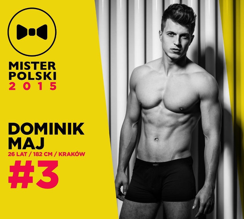 Poznaliśmy kandydatów do tytułu Mistera Polski 2015