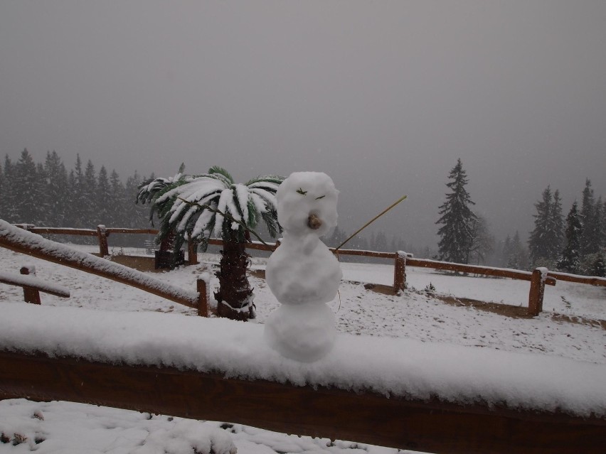 Pierwszy śnieg w Tatrach [ZDJĘCIA]