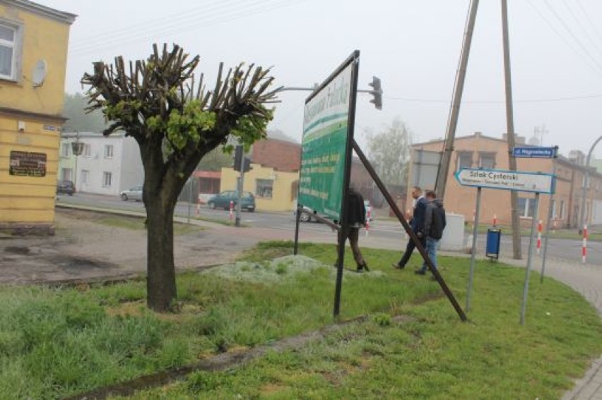 Nastąpi rewitalizacja zieleni na Rynku w Damasławku 