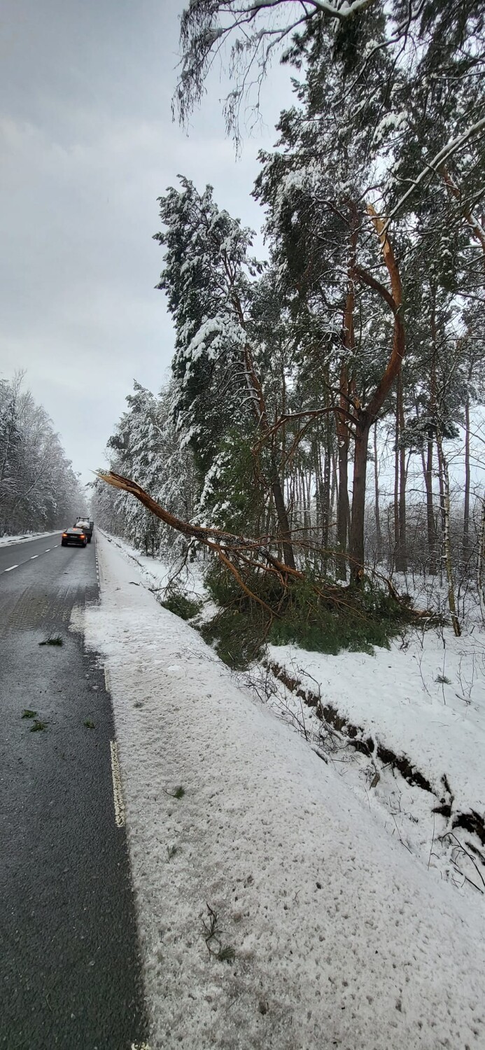 Powalone i połamane drzewa usuwali strażacy z OSP Lubochnia...