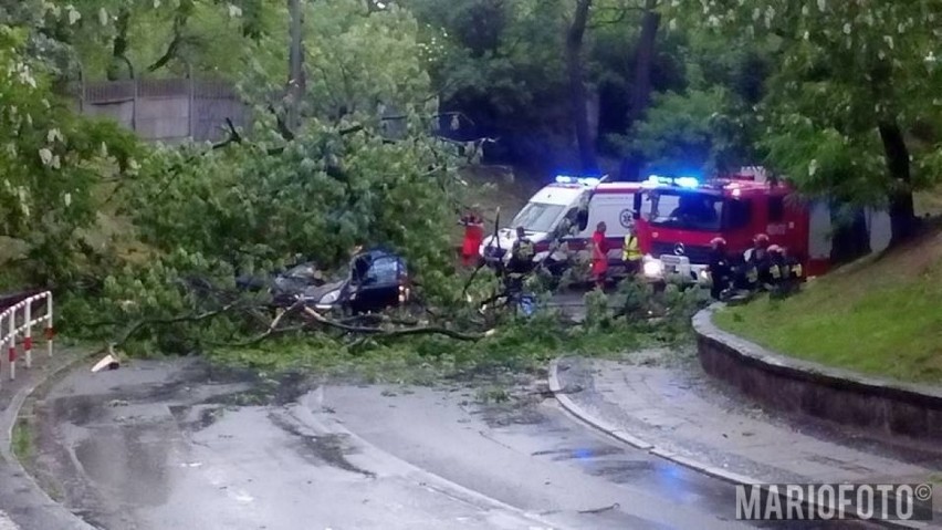 Drzewo spadło na samochód w Brzegu.
