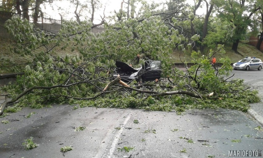 Drzewo spadło na samochód w Brzegu.