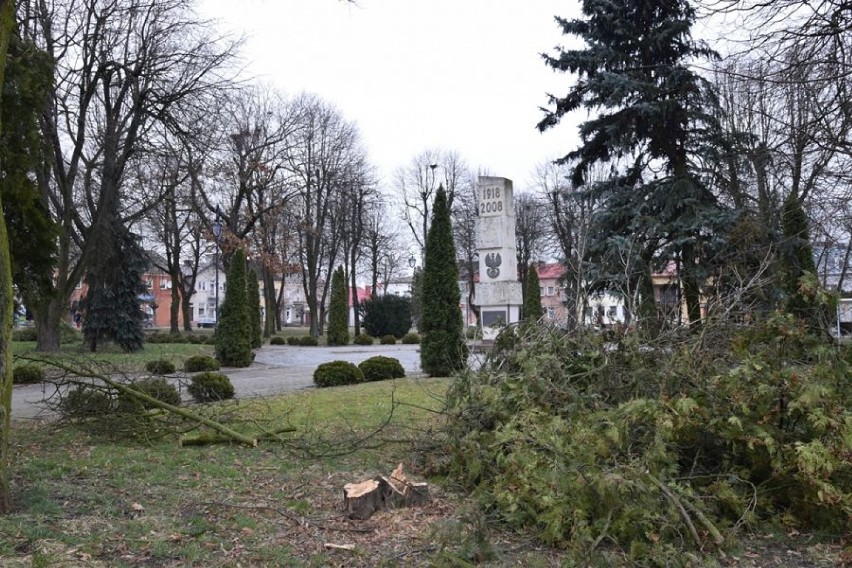 Rewitalizacja parku droższa niż zakładało miasto, ale rozpoczęły się prace przygotowujace teren [zdjęcia]