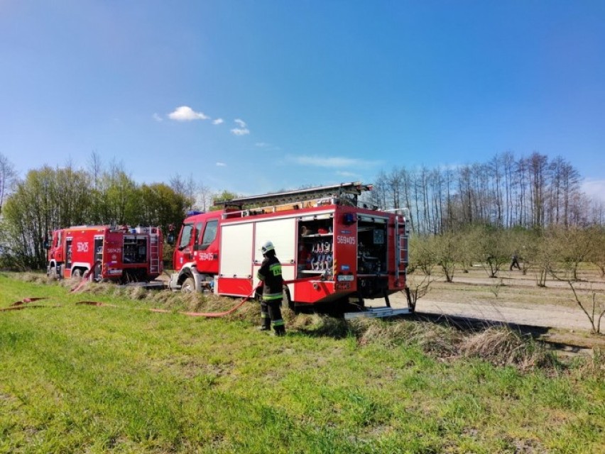 Płoną lasy w powiecie pleszewskim. - To jedne z najgroźniejszych pożarów - mówią strażacy