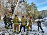 Małastów. Kilkudziesięciu strażaków z OSP i PSP wzięło udział w manewrach na stacji narciarskiej. Sezon blisko, trzeba być gotowym