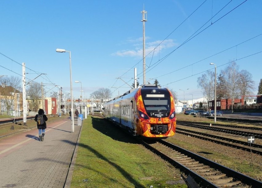 Bursztynowa hybryda po raz pierwszy w Goleniowie i Nowogardzie