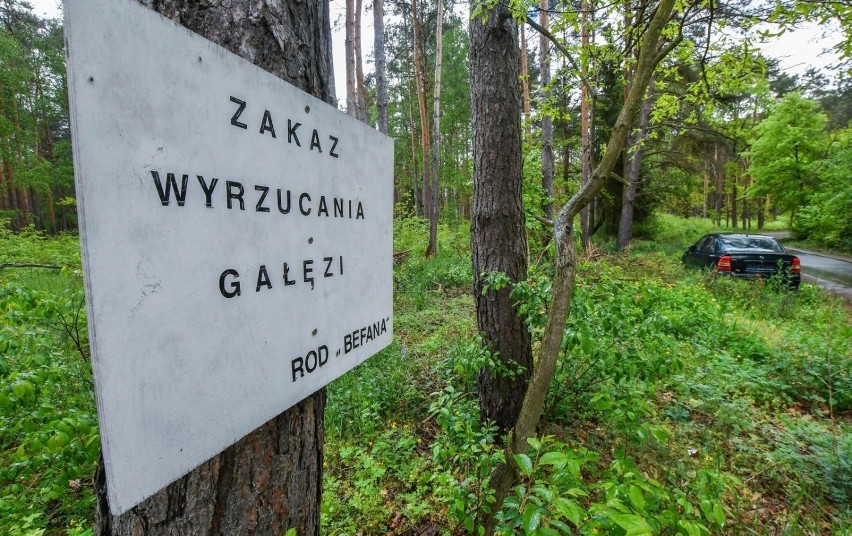 Wyrzucony pod las w gminie Osielsko opel astra długo był...