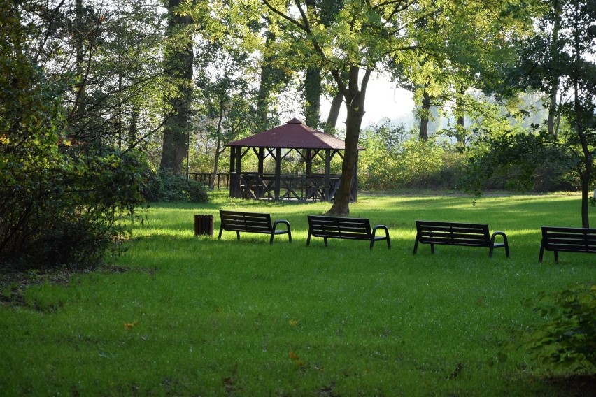 park Folwarczny w Lubieszowie jesienią w słoneczny dzień.