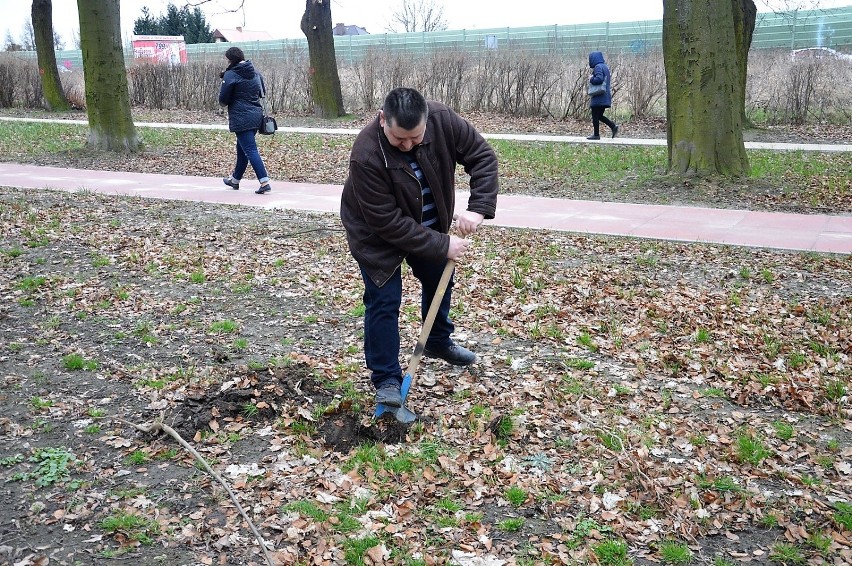 Sadzili drzewa w Międzynarodowy Dzień Lasów