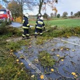 Strażacy z Wąbrzeźna i powiatu wąbrzeskiego 21 października wyjeżdżali aż 37 razy, aby usuwać skutki silnego wiatru, a także gasili pożar