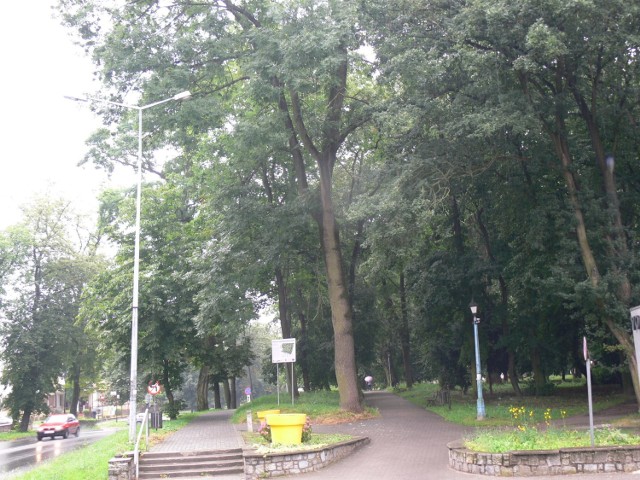 Park Miejski - Park Saski w Sandomierzu zmieni wygląd. Miasto ogłosiło przetarg na II etap rewitalizacji.
