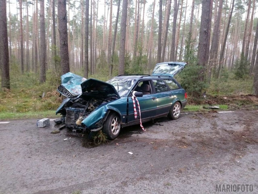 W Polskiej nowej Wsi audi uderzyło w drzewo.