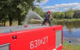 Straż Pożarna ćwiczyła nad zalewem w Pniowcu. W szkoleniu udział brała Jednostka Ratowniczo-Gaśnicza