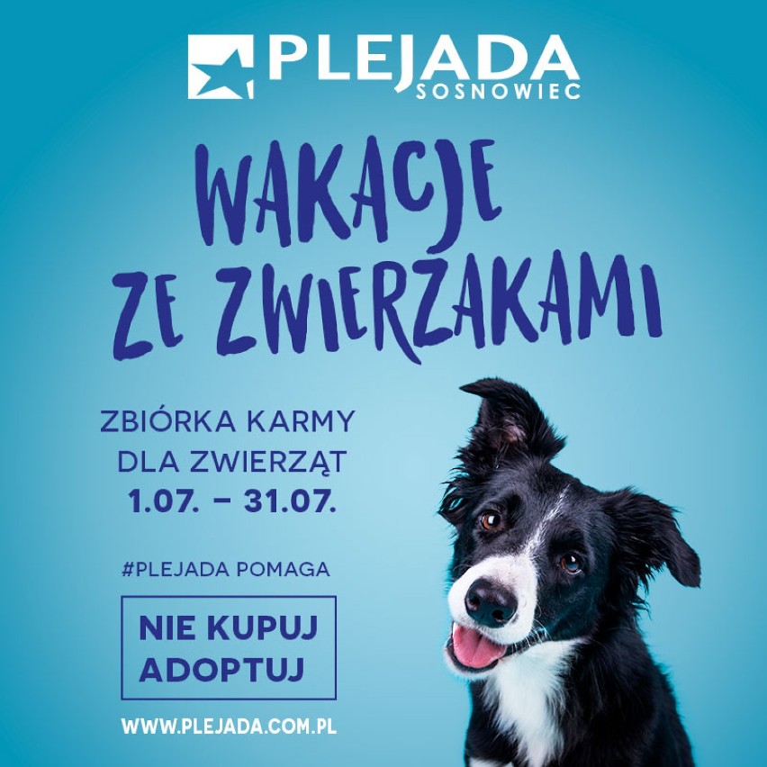Wakacje ze zwierzakami - Plejada w Sosnowcu pomaga!