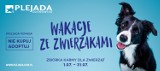 Wakacje ze zwierzakami - Plejada w Sosnowcu pomaga!