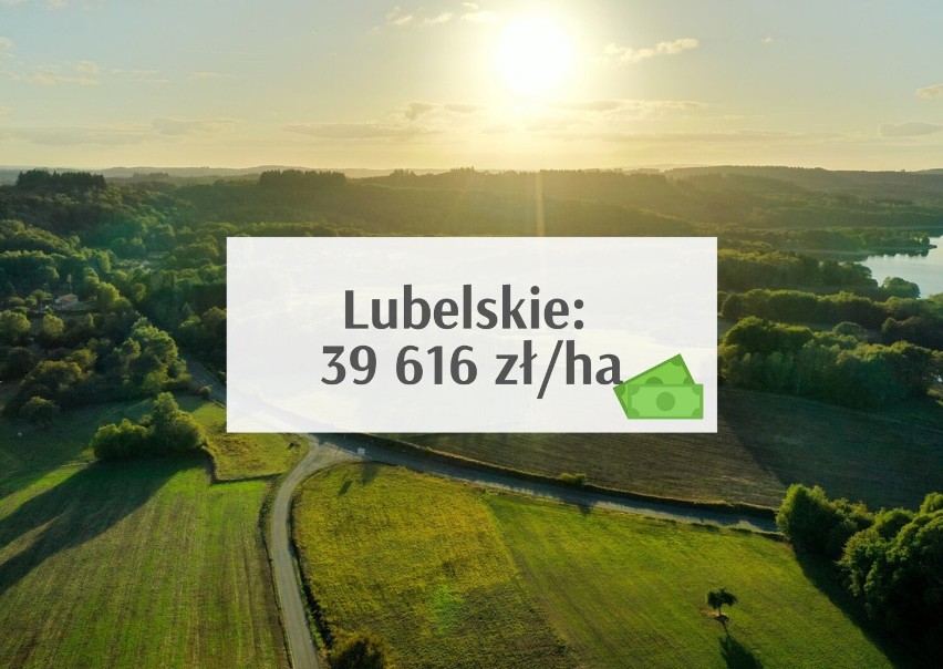 Województwo lubelskie - średnia cena hektara (klasy I-VI) 39...