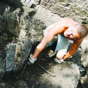 Odkrycie gdańskich archeologów na Wyspie Spichrzów. Beczkę pokazuje Grzegorz Pstyga.
Fot. Adam Warżawa