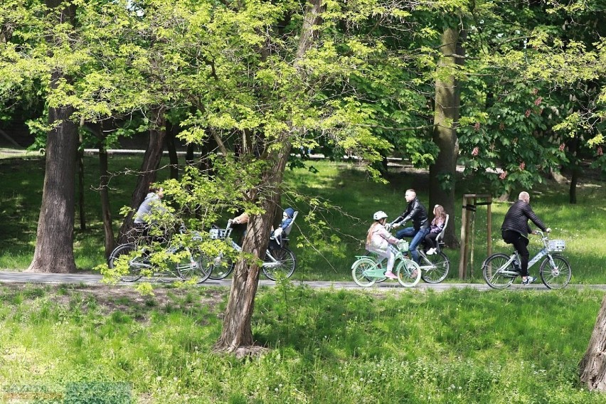 Park im. Sienkiewicza we Włocławku zostanie przebudowany na...