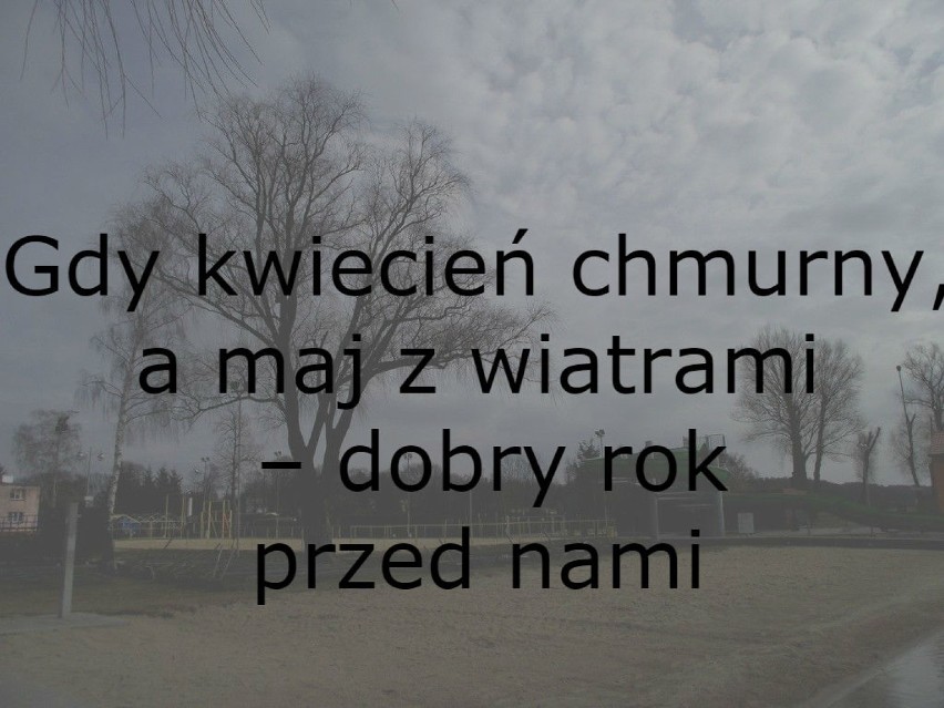  Przysłowia na kwiecień. Prima aprilis: nie czytaj, nie słuchaj, bo się omylisz!