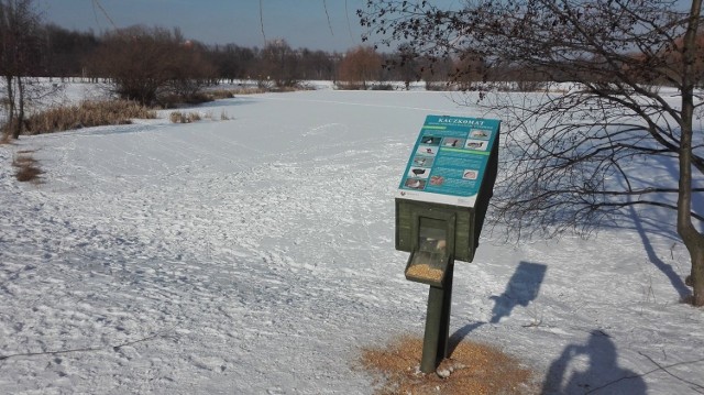 Kaczkomaty w Dolinie Trzech Stawów w Katowicach