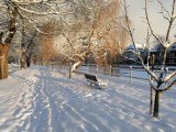 Kołobrzeg: zasypany śniegiem bulwar o poranku