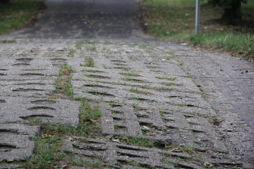 Będzie remont drogi do Parku Miejskiego. Ma być gotowa już w grudniu