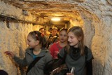 Wielkie odkrywanie kopalni soli w Wieliczce (ZDJĘCIA)