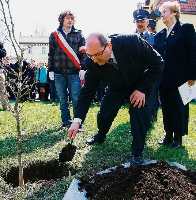 Dąb pamięci został zasadzony również w Jeleniej Górze