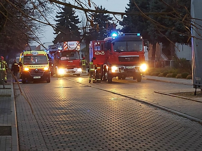 Gniezno. Tragedia na ulicy 28 grudnia. Na miejscu znaleziono zwłoki mężczyzny