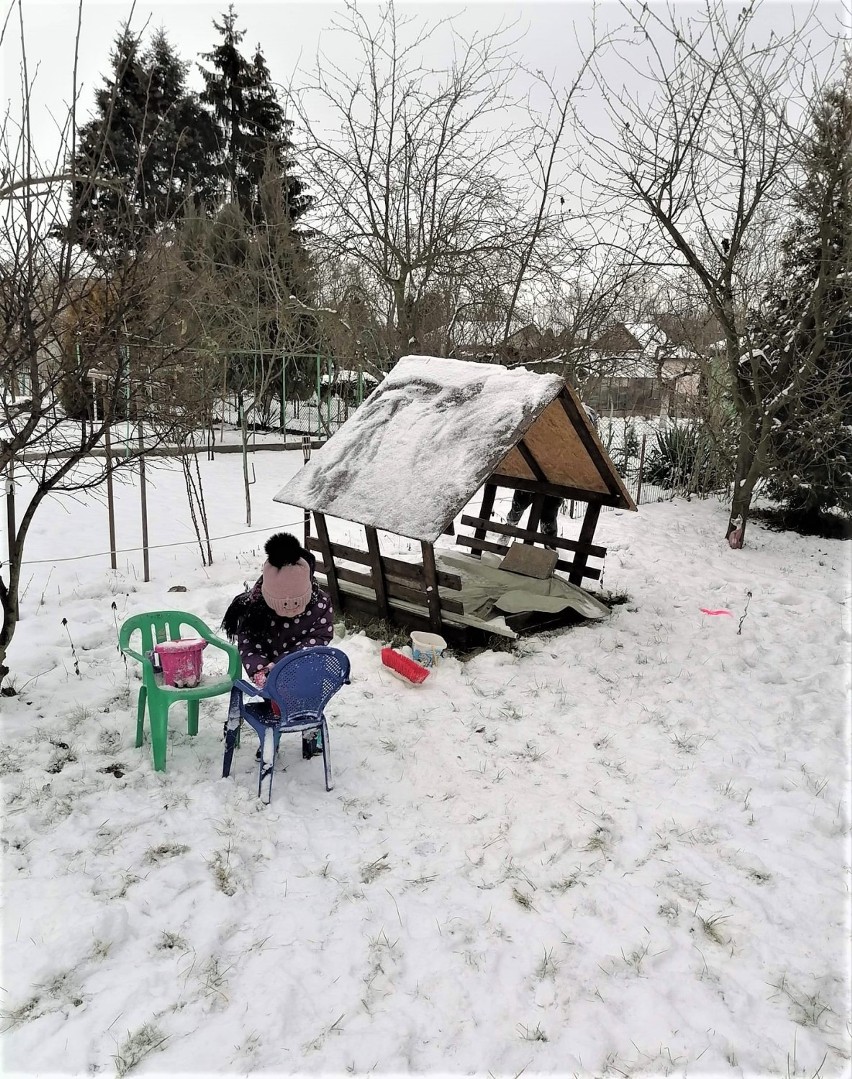 Zima oczami naszych Czytelników. Jest pięknie (zdjęcia)