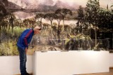 Legnica: Wędrówka po Karbońskim Lesie, to nowa wystawa w Muzeum Miedzi