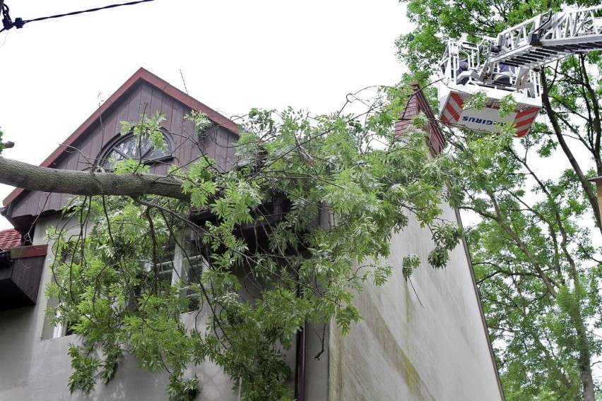 Kraków: drzewo przewróciło się na dach kamienicy przy ul. Malczewskiego [ZDJĘCIA]