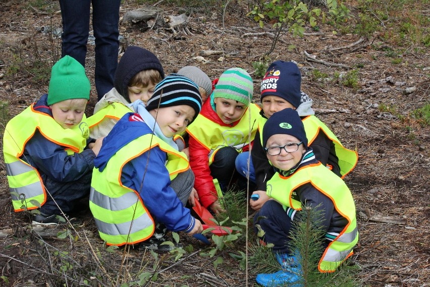 Przedszkolaki sadziły las w Chwaliszewie