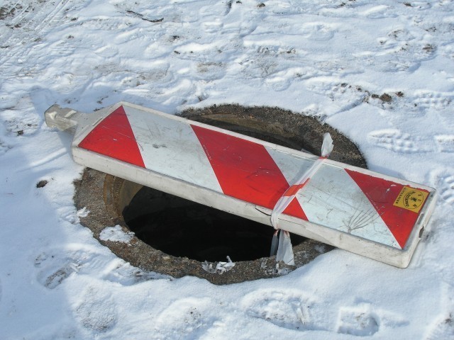 Pies wpadł do niezazbepieczonej studni w centurm Wejherowa